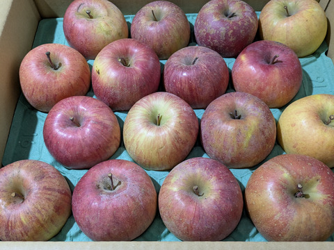 「完熟サンふじ」訳あり お値下げ！！期末総決算！　ご家庭専用　5キロコース　（14～20個入り） 甘くてジューシー　甘さと酸味バランス良好