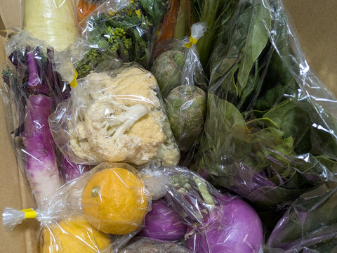 【食べチョクアワード2025受賞】
カラダが喜ぶ!!旬のお野菜セット9~10種類【おまかせ80】