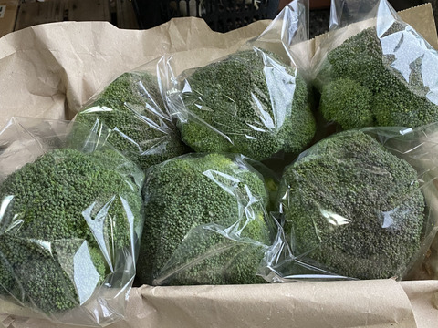 農薬不使用・栄養たっぷり『ブロッコリー🥦』重量分たっぷり詰めます！