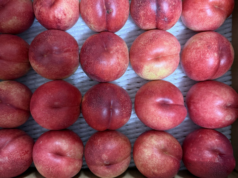 終盤❗️ネクもも🍑ハネージュ🍑3キロ箱　規格外　訳あり