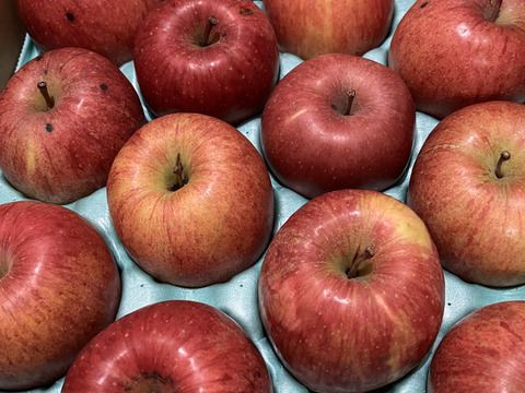 【大玉🍎】葉とらずサンふじ🍎訳あり５Kg　青森県産