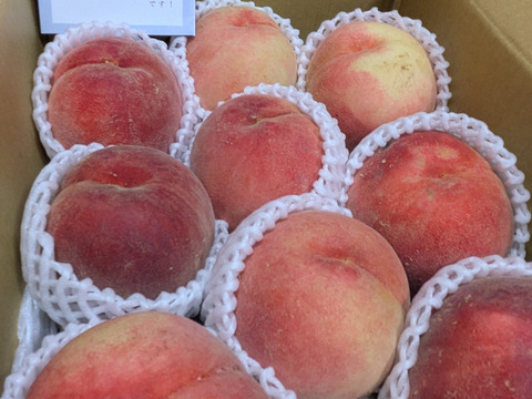 【数量限定】川中島白桃　家庭用3kg