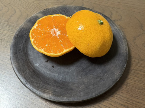 果汁溢れる！甘くて酸っぱい【田口早生】みかん 5kg