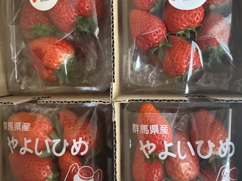 【特価継続中】いちご中身おまかせ8パック 【よつぼし】【おいCベリー】【やよいひめ】から品種サイズはおまかせ(1〜２品種)でお届け‼︎ 朝採りをその日のうちに発送します(^^)