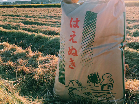 【令和4年新米】はえぬき【玄米】20kg  山形県飯豊町産