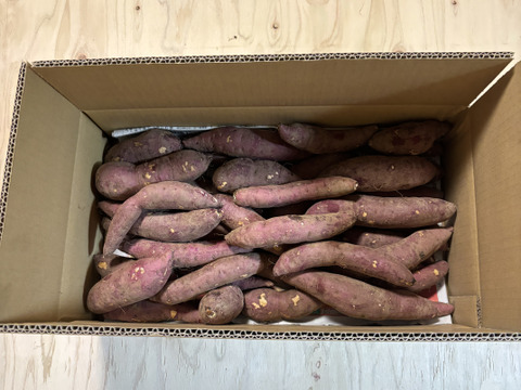 手間ひまかけました！『紅はるか』土付き　4.8kg　S/SSサイズ　埼玉県産　栽培期間中農薬不使用