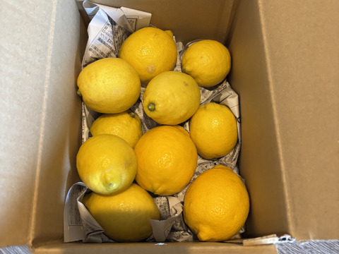 【広島県産】瀬戸田しまなみレモンAB混合品(1kg) 栽培期間中農薬不使用