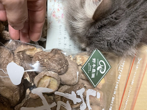 旨味ギュッ❗離乳食にもオススメ♪原木乾しいたけ（100g×3袋）