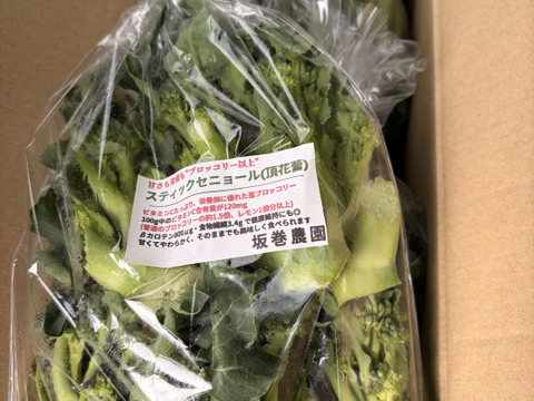 スティックセニョール　頂花蕾　2kg 数量限定