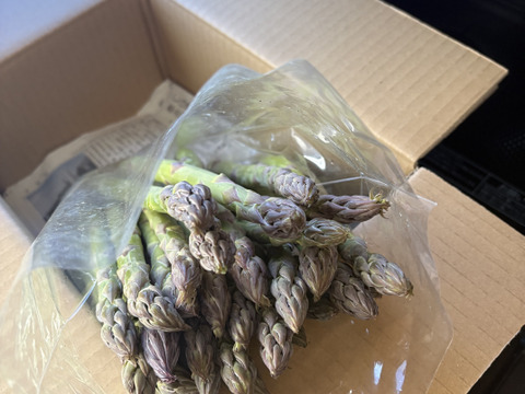 【朝採】アスパラガス 2Lサイズ A等級 １kg 【収穫当日発送】