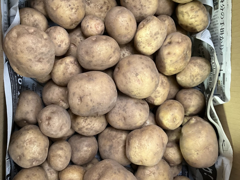 ほくほく　じゃがいも　5kg