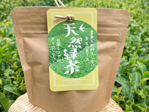 草生栽培・自園シングルオリジン・2024年の新茶