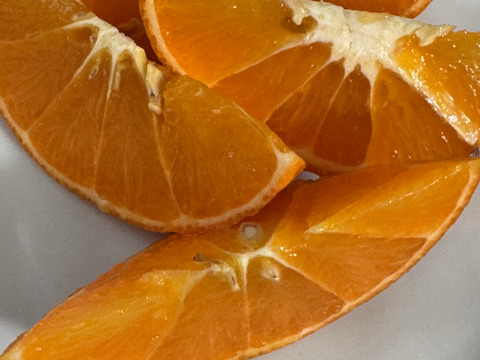 べにばえ（無農、ノーワックス）