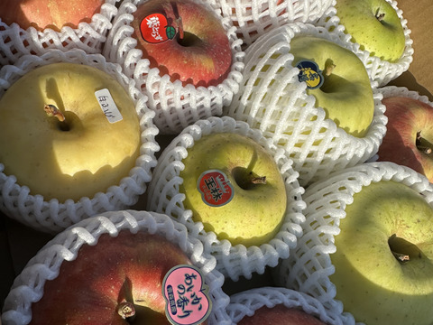 そのまんま「わんぱく箱」約5kg箱　12〜18玉入