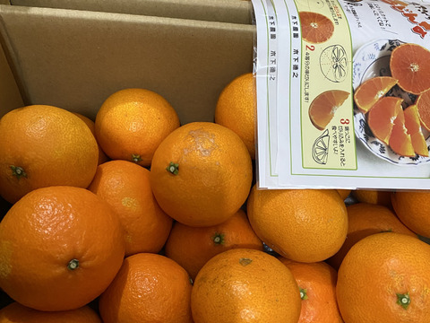 ☆農園1番人気☆まどんな　家庭用10キロ(5キロ×2箱)