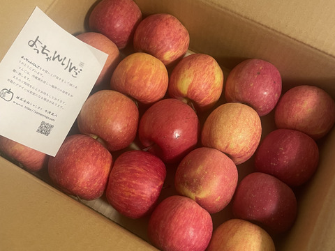 【極小玉・バラ詰め】🍎毎日りんご!! サンふじ🍎家庭用 約3Kg🍎コスパ抜群　青森県産　数量限定　ポケットりんご