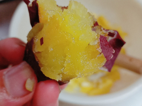 【無添加】さつまいもペースト（5袋）