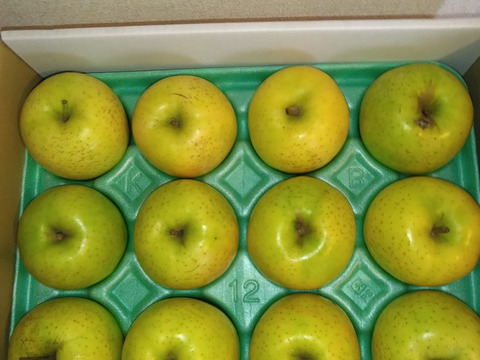 酸味控えめの甘いりんご 王林3kg🍏訳ありご家庭用 農薬50%減 特別栽培認証取得 青森りんご 葉とらず栽培 低農薬