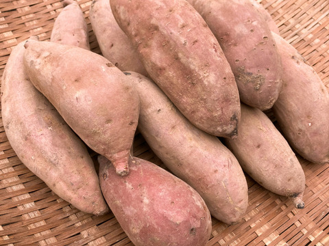 自然栽培〈べにはるか〉大分県産さつまいも 　Ｌサイズ5kg