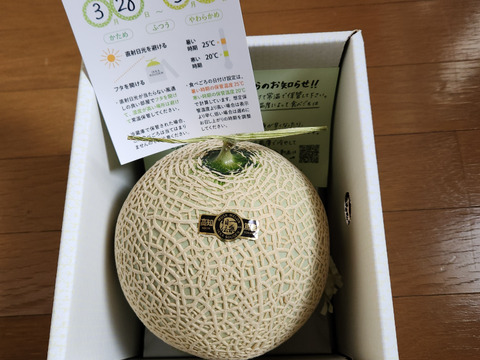 「外まで甘い」1玉箱入り高糖度マスクメロン