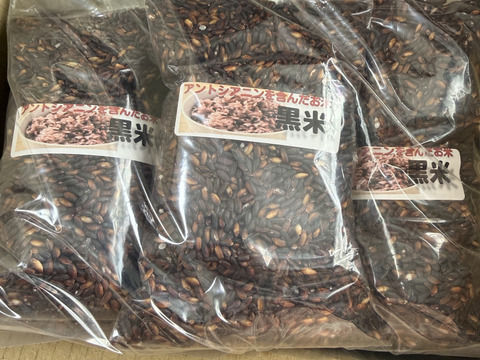 白米に混ぜるだけでモチモチになる「黒米」250g ３袋セット
