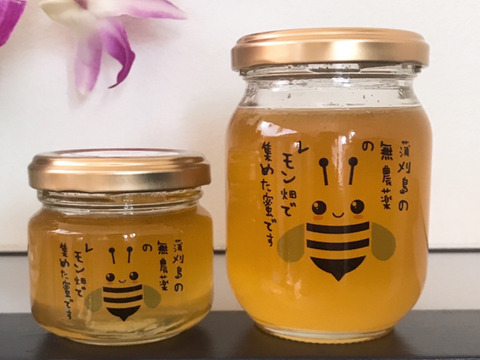 広島レモン花ハチミツ🍯90g ×1本
220g×1本　大自然のサプリメント