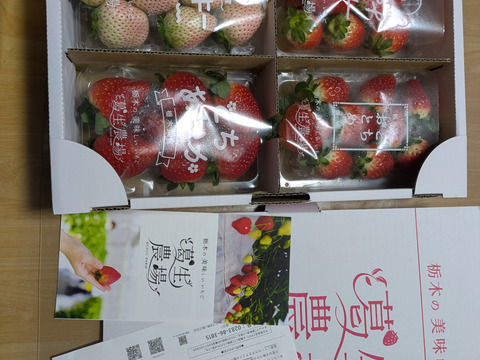【3/16以降発送分はお得な春イチゴ販売中！】【食べチョク限定】摘みたて直送！ミルキーベリー入り！とちぎのいちご4種詰め合わせセット（4パック）（260ｇ×4パック）【いちご食べ比べ】