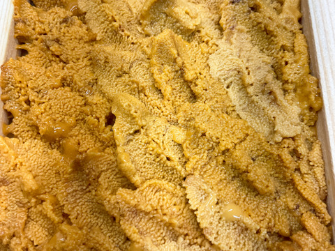 【入手困難】由良の黒ウニ/淡路島/本州ウニの最高峰【上】