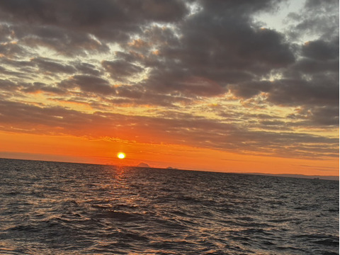 【食通好みの逸品】長州床波の極み肴『極み赤ナマコ』酒蔵納得仕立て澄んだ旨味☆瀬戸内ブランドお試しキャンペーン☆スライスカット約100g【1月中旬予約】