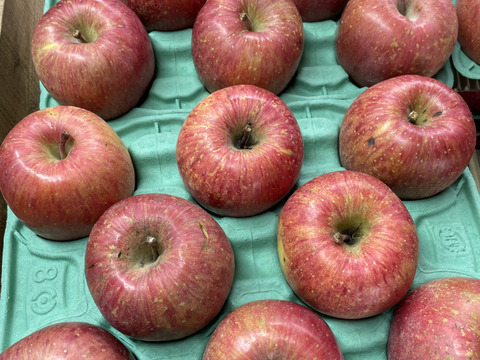 令和7年度産早期予約セール7%OFF大玉から順に発送‼️🍎青森県産完熟葉取らずふじ家庭用キズあり約3kg‼️とことん味にこだわりました😊
