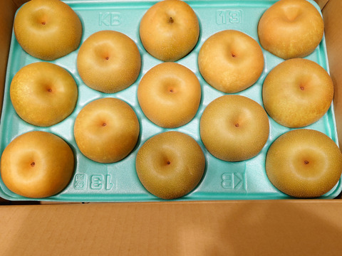 令和7年8月発送【予約】梨 幸水 良品5kg‼️長野県産