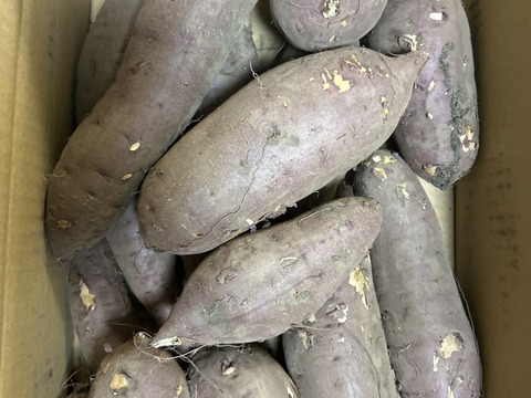 【訳あり品】⭐︎5kg⭐︎熟成！蜜たっぷり紅はるか♪さつまいも⭐︎限定セール中！