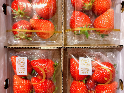 ＜入学祝いや節句、母の日など各種贈り物にもおすすめ♪＞味が濃厚でひときわ甘い【やよいひめ】群馬県産完熟いちご「やよいひめ」270g×4パックセット🍓群馬県いちご品評会W受賞！