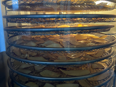 【シルクスイート】さつまいもチップス　100g 群馬県産　国産　無添加