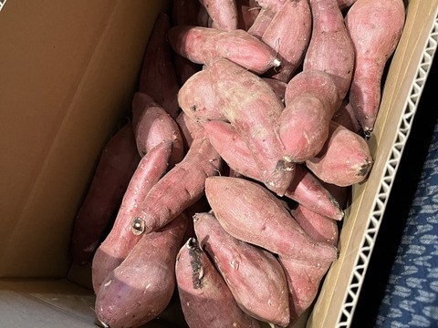 欲しかった❣️チビッコさつまいも🍠(安納芋紅はるか3kg)食べ