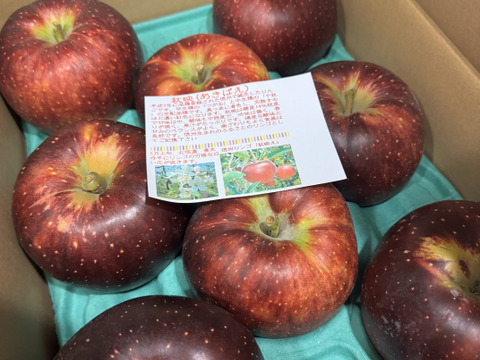 秋映　あきばえ  濃い味林檎　ご好評販売中　 訳あり　家庭専用　3キロコース　　 長野県ならでは第1弾(冷蔵貯蔵分）