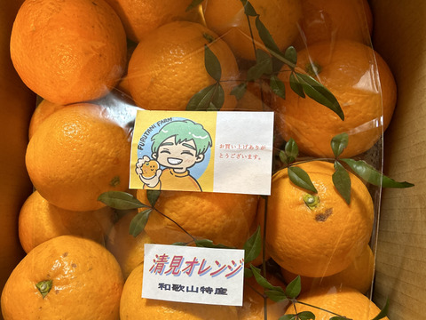 【家庭用】香りが良く、甘くてジューシーな清見オレンジ　（箱込み7.5キロ）