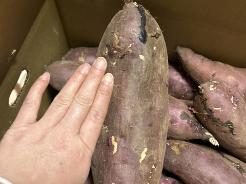 【BIGサイズ】熟成べにはるか　2L・3Lサイズ　10kg
