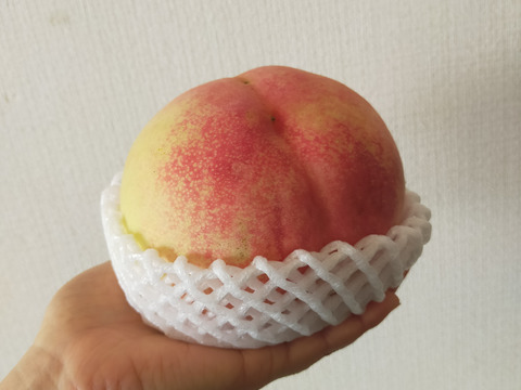 あらかわの桃 【訳あり】 お得 『旬おまかせ』（大玉サイズ 5〜6玉