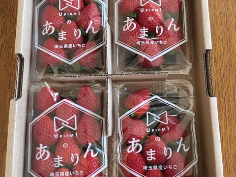 あまりん】 苺 4パック入りセット | 木口農園
