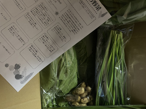 月〜木曜日限定で翌日までに発送!!お楽しみ★農園自慢の情熱野菜セット　9袋　　フードロス対策　パチャママ農園　訳あり　規格外