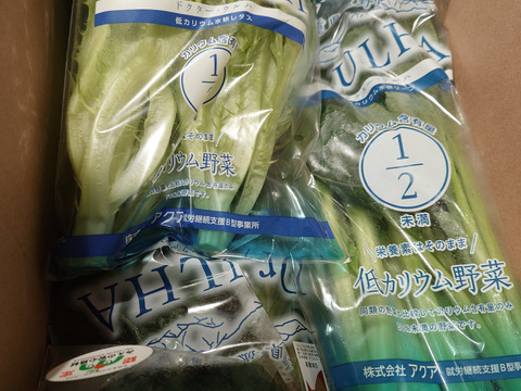 カリウムが気になる方へ！生のサラダがおすすめ！えらべる５袋セット低カリウム野菜「Dr,ULHAドクターウルハ」