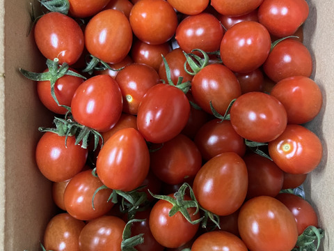 『訳ありA品・アイコ♪』1kg箱:ヘタあり・ヘタ無しランダム♪ちょうどいい酸味と甘味あり満足