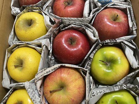 季節のリンゴ食べ比べ　訳あり家庭用（約2.5㎏）6～12玉
サンふじ、シナノゴールドなど季節のりんごを2種類からお届け　
大きさ、形やキズなどで贈答用になれなかったりんごたちをバラ詰めで　信州長野県産