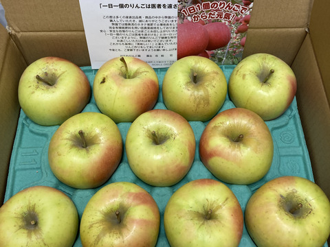 青森県産『ぐんま名月』 家庭用🍏 糖度15度以上！甘～い！ 3㎏(7玉～11玉)