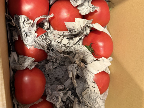 毎食トマト！バクバク食べちゃう栄ちゃんトマト　中くらいサイズ2キロ入り