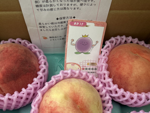 【朝どれ】（訳あり商品）糖度15度以上！　硬い桃　1.5～2.0kg（4-8玉）