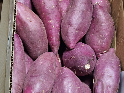 訳あり！大きいサイズのさつまいも！ねっとり極甘さつまいも！熟成紅