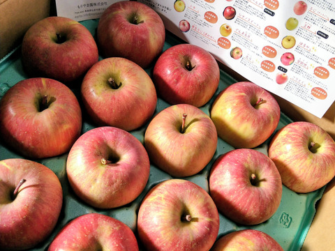 農薬半減栽培【キズなし良品】低農薬で皮ごとうまい🍎サンふじ🍎5kg  葉とらずりんご 予約 旬 化学肥料不使用 特別栽培認証取得