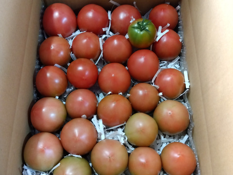 優しい甘みと旨みの桃太郎80サイズ箱